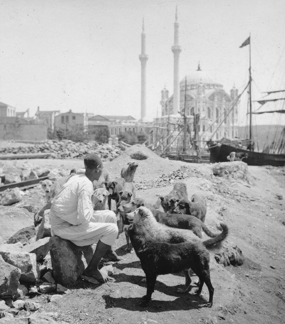 <div>
Kütüphaneciliğimizin modern anlamdaki kurucusu oydu. Tarih, siyaset ve hukuk konularında geniş bilgisi vardı. </div>
<div>
</div>