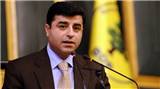 Demirtaş'tan çarpıcı açıklamalar