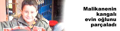 Malikanede beslenen kangal evin o�lunu par�alad�