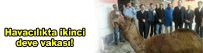 Havac�l�kta ikinci deve vakas�