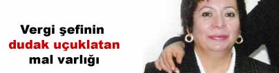 Vergi �efinin �a��rtan malvarl���