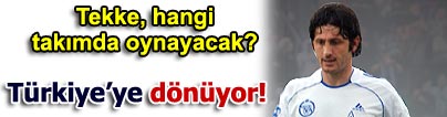 Tekke yuvaya do�ru