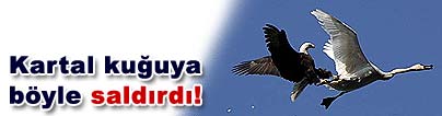 Havada deh�et veren sald�r�
