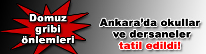 Ankara'da okullar <blink><font color=red> 1 hafta tatil </font></blink>