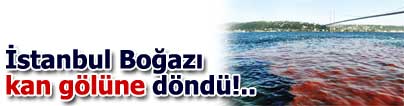 Bir bayram b�yle ba�lad�