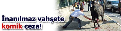 Vah�ete 969 TL para cezas�
