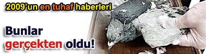 2009'un en tuhaf haberleri