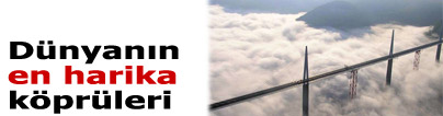 D�nyan�n en harika k�pr�leri