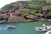 Bir Garip Köy Garipçe