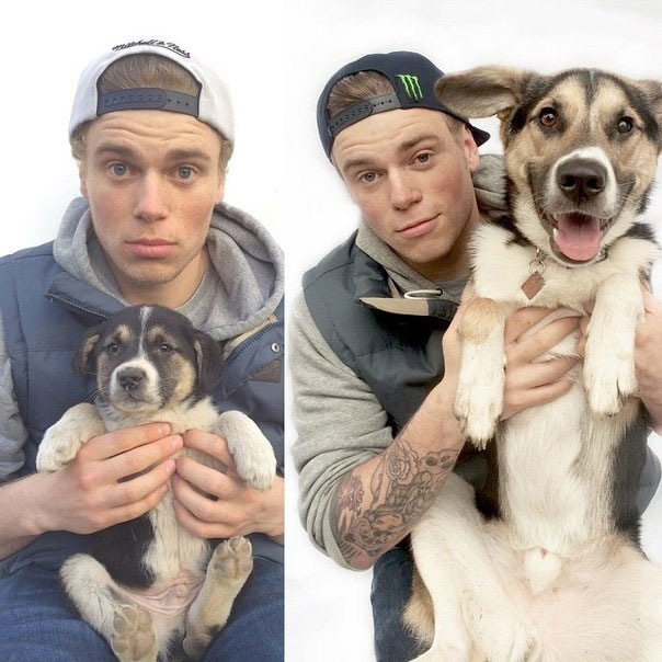 köpeklerin kaç parmağı var