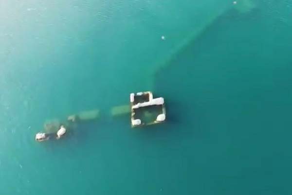 TÃ¼rkiye'de bulundu! GÃ¶ren hayran kalÄ±yor