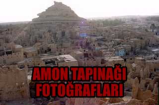fft16_mf422840.Jpeg