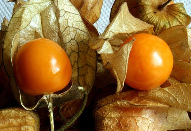 Altını ıslatan çocuğa ne iyi gelir? Altını ıslatan çocuğa bitkisel