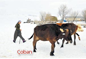 kendi kendisinin sponsoru gülcan palavan ile ilgili görsel sonucu