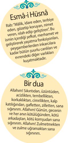 Insanlari Cekistirip Arkasindan Alay Edenin Vay Haline Gazete Vatan