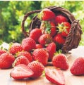 Kırmızı yaz meyvelerinin faydaları