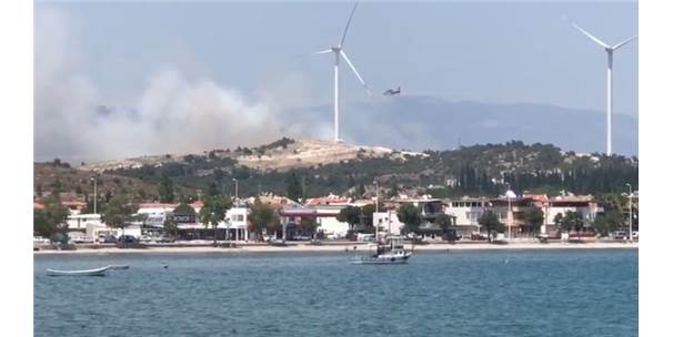 İzmir'de Ormanlık Alanda Yangın