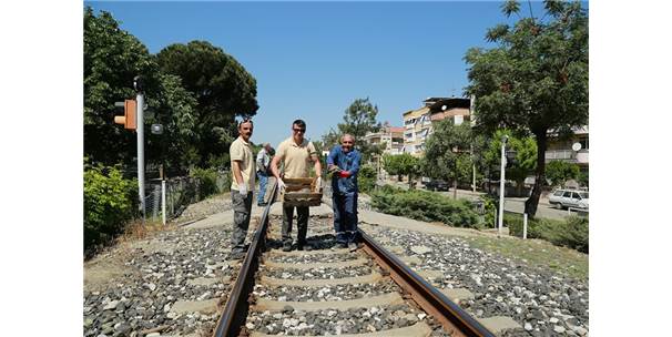 Tren Yolundaki 73 KaplumbaÄŸa KurtarÄ±ldÄ±