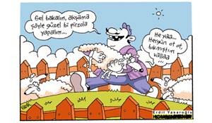 resim