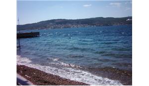 imaj