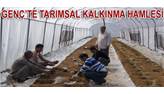 Gen�'te tar�msa...