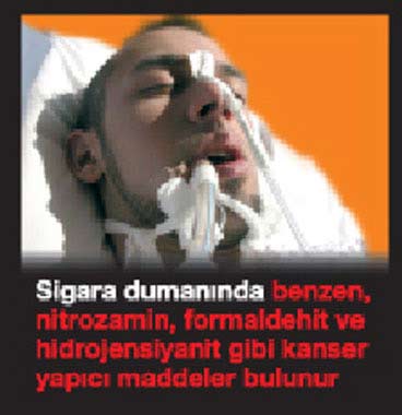 fft15_mf289096.Jpeg