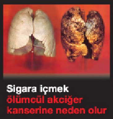fft15_mf289100.Jpeg