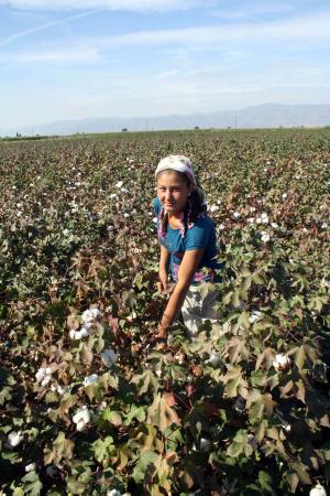 16 yasindaki cigdem kan agliyor 870247 - Medya Haber 16 yasindaki cigdem kan agliyor 870247