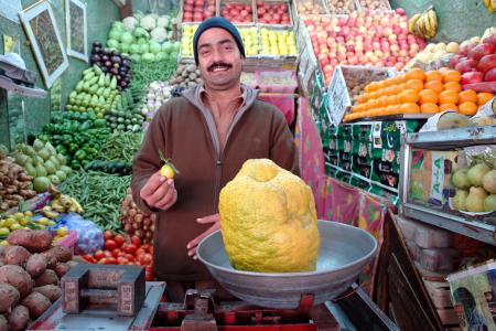 Karpuz kadar limon!