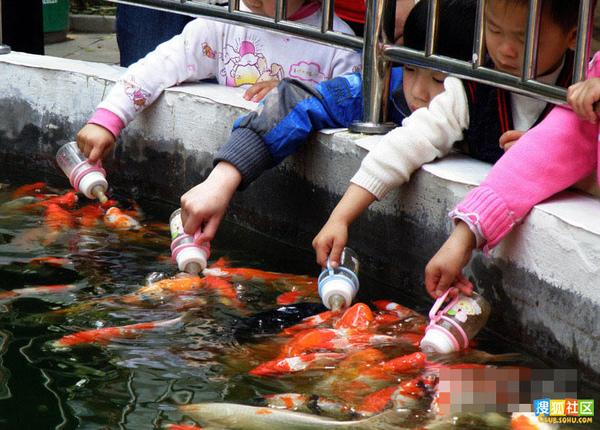 [Resim: yeni-moda-balik-emzirme--1648929.Jpeg]