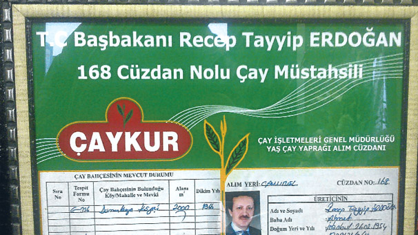başbakan Erdoğan’ın çay bahçesi, rize'deki arazi