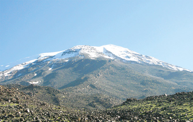 Nuh’un Gemisi skandalı