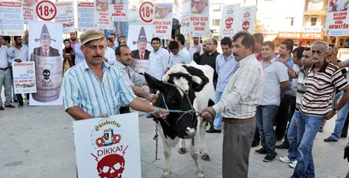 Bira festivaline inekli protesto