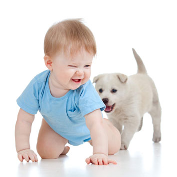 Köpekle bebeğin aynı evde uyum içinde yaşaması