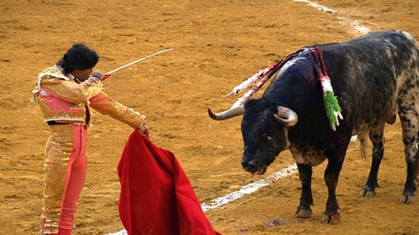 Program From Bullfight Spain