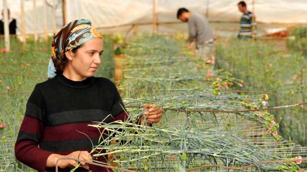 Kira%20yok,%20elektrik%20ve%20su%20bedava,%20yıllık%2040%20bin%20lira%20&uuml;cret%20ama%20&ccedil;alışan%20yok