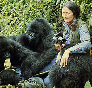 dian-fossey-nin-esrarengiz-olumu-3969279.Jpeg