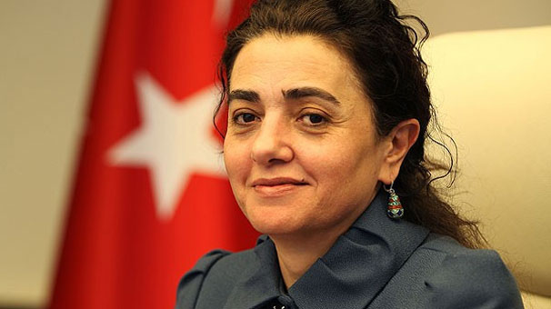 Çelik, Nimet Çubukçu döneminde Milli eğitim Bakanlığı Müsteşarı olan Esengül Civelek&#39;ten sonra atanan ikinci kadın müsteşar oldu. - fft99_mf4106598