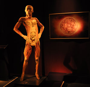 “The Human Body” sergisi hayatınızı değiştirecek!