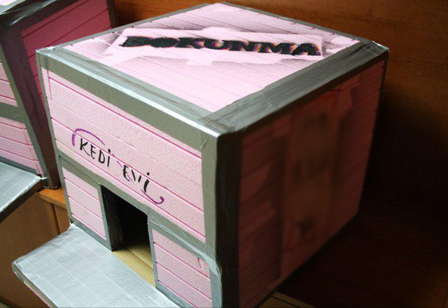 Sokak kedileri için kedi evi yapımı Kendin Yap ( DIY) Haberleri