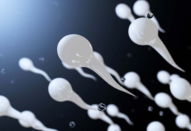 Sperm Testi Nedir Nasıl Yapılır