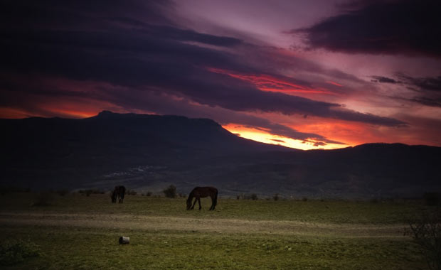 Yayla tatili