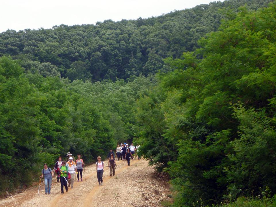 Binkılıç Köyü