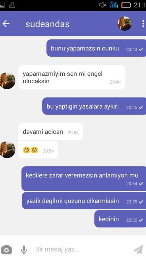 Sude Andaş Kedi