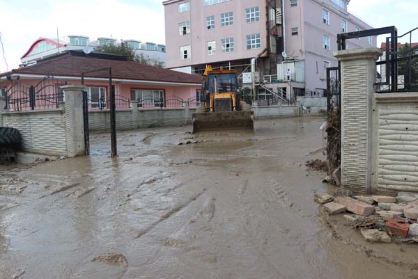 Sakarya'da Åoke eden gÃ¶rÃ¼ntÃ¼ler! 38 bin civciv...