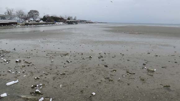 Ä°stanbul'da deniz 150 metre Ã§ekildi