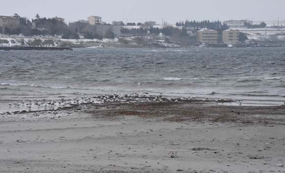 Ä°stanbul'da deniz 150 metre Ã§ekildi