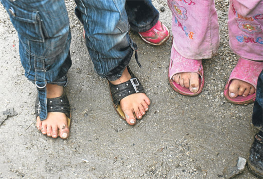 Çaresizlik böyle çıldırttı