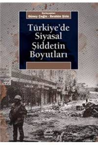 Türkiye'de Siyasal Şiddetin Boyutları