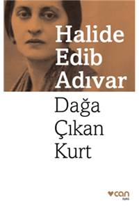 Dağa Çıkan Kurt 